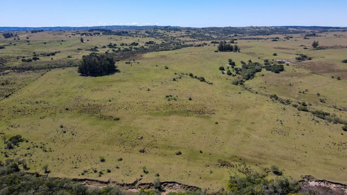 Fantastico Campo en las cercanias de Pueblo Garzon — foto 6