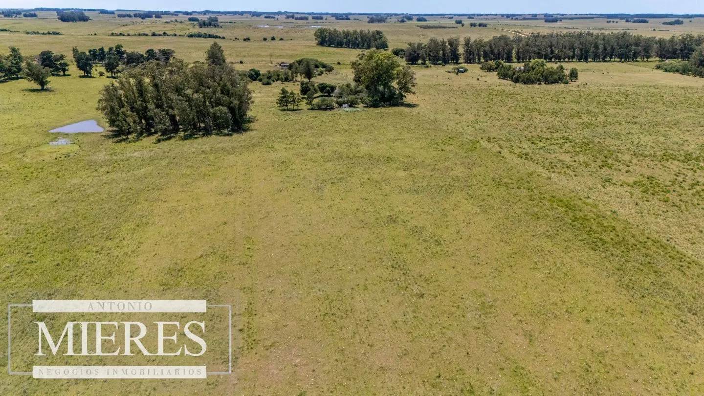 Chacra de 8ha Rocha José Ignacio — foto 14
