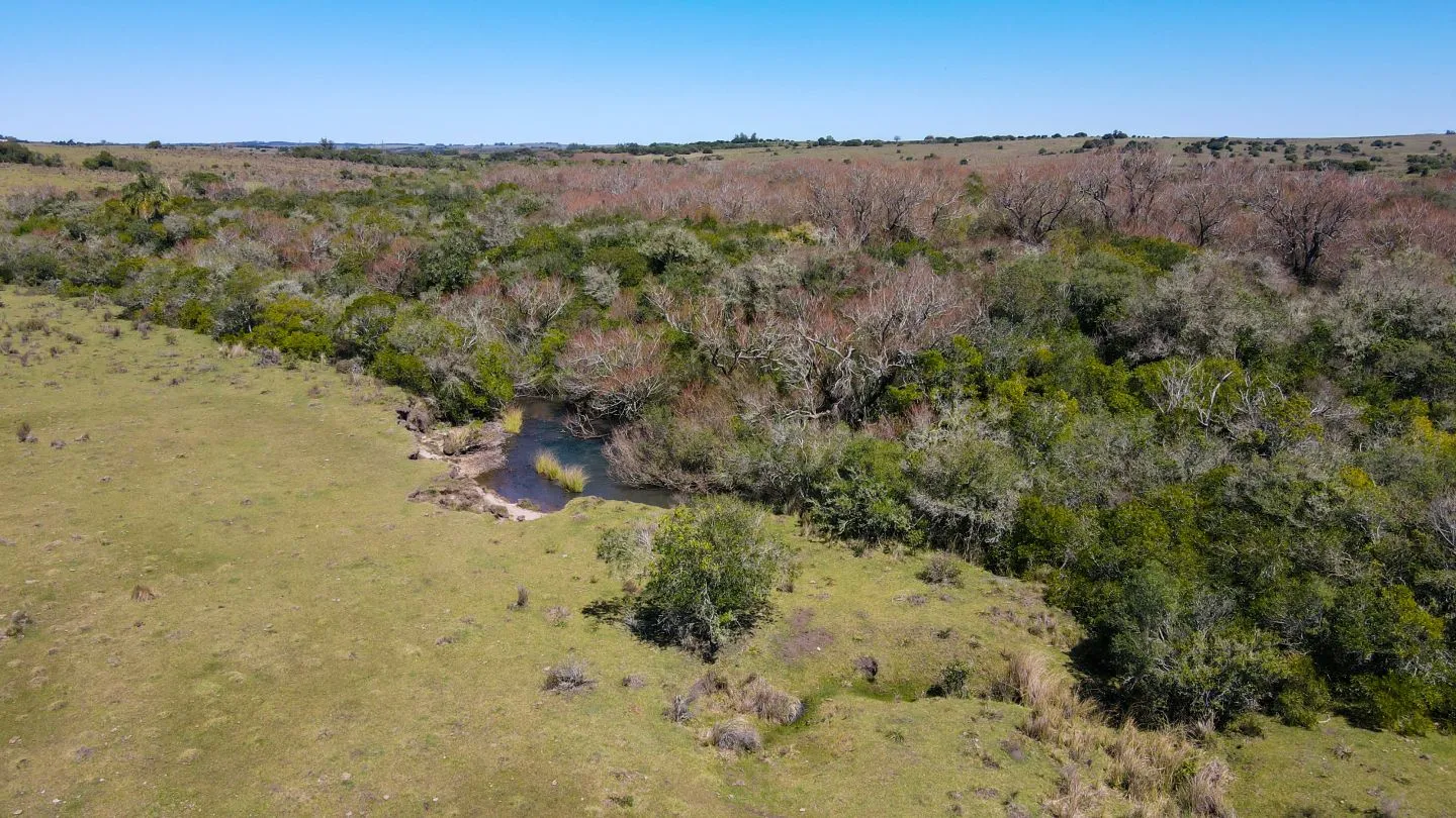 Fantastico Campo en las cercanias de Pueblo Garzon — foto 7