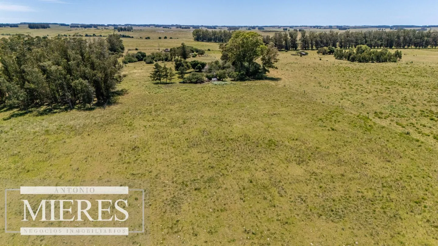 Chacra de 8ha Rocha José Ignacio — foto 15