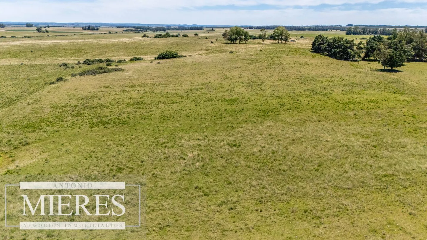 Chacra de 8ha Rocha José Ignacio — foto 16