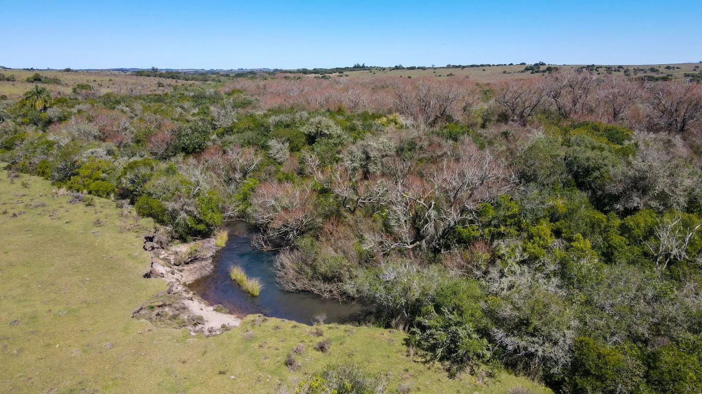 Fantastico Campo en las cercanias de Pueblo Garzon — foto 8