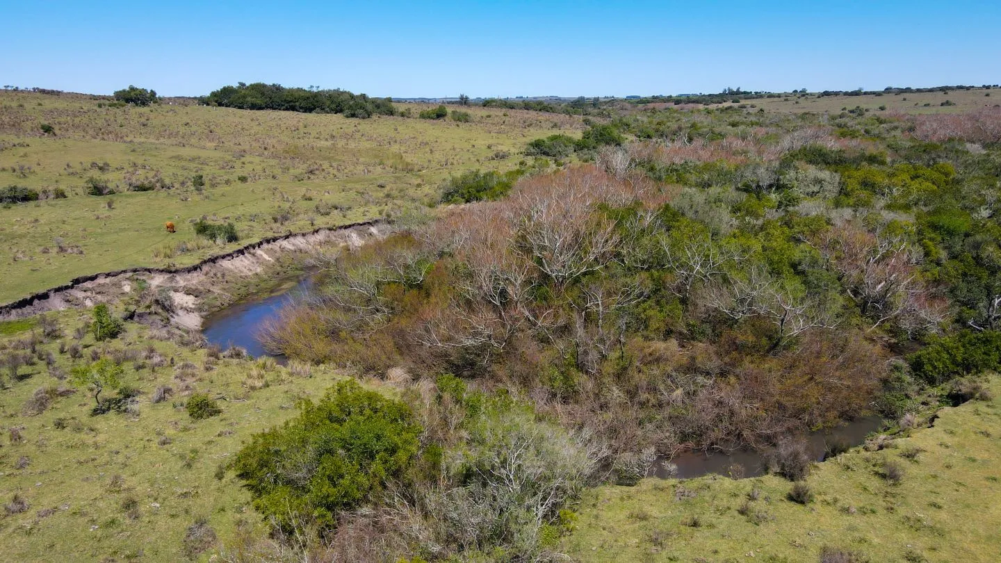 Fantastico Campo en las cercanias de Pueblo Garzon — foto 9