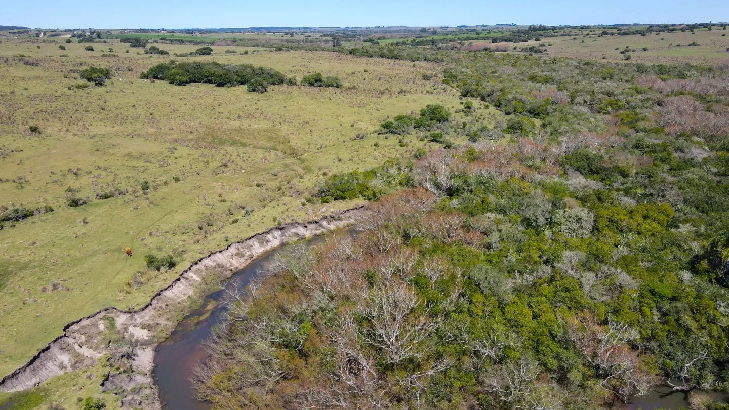 Fantastico Campo en las cercanias de Pueblo Garzon — foto 10