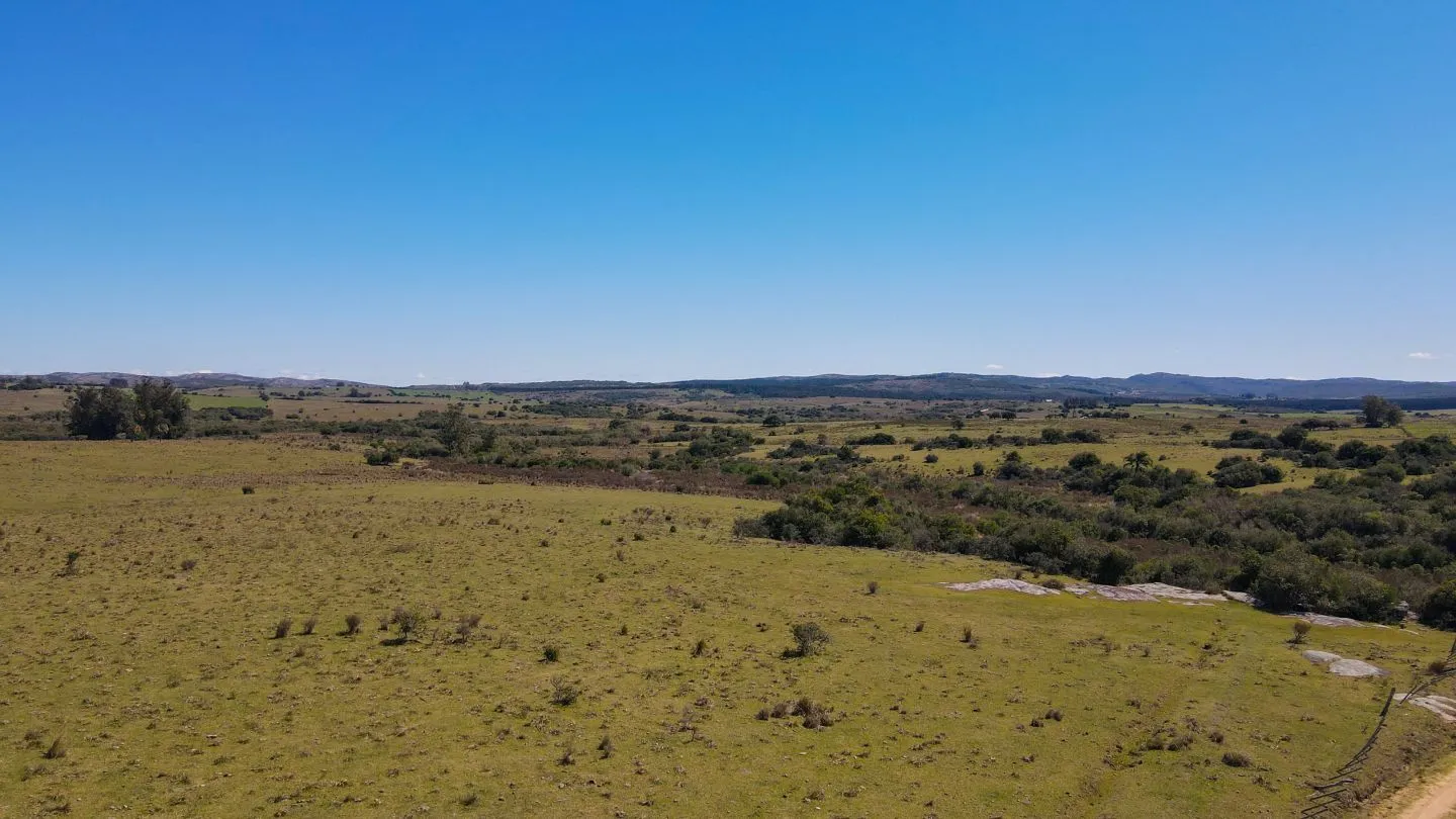 Fantastico Campo en las cercanias de Pueblo Garzon — foto 11