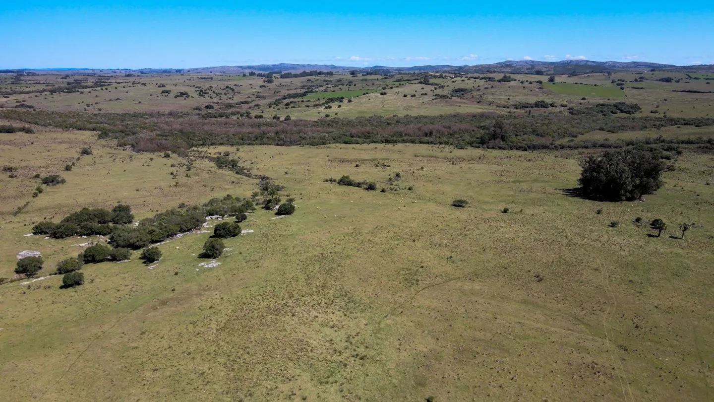Fantastico Campo en las cercanias de Pueblo Garzon — foto 12