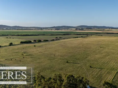 Chacra de 8ha Lapataia — foto 2
