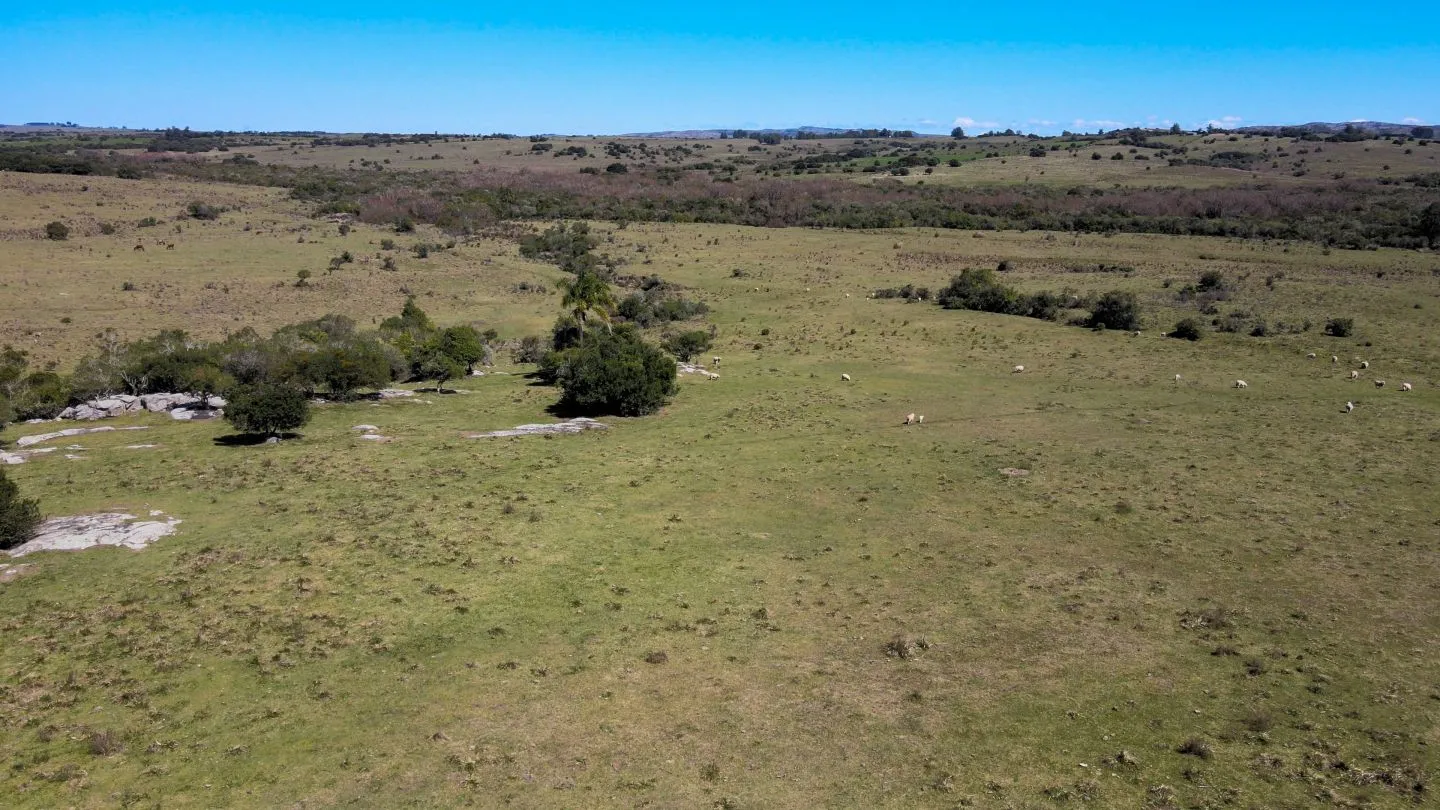 Fantastico Campo en las cercanias de Pueblo Garzon — foto 13