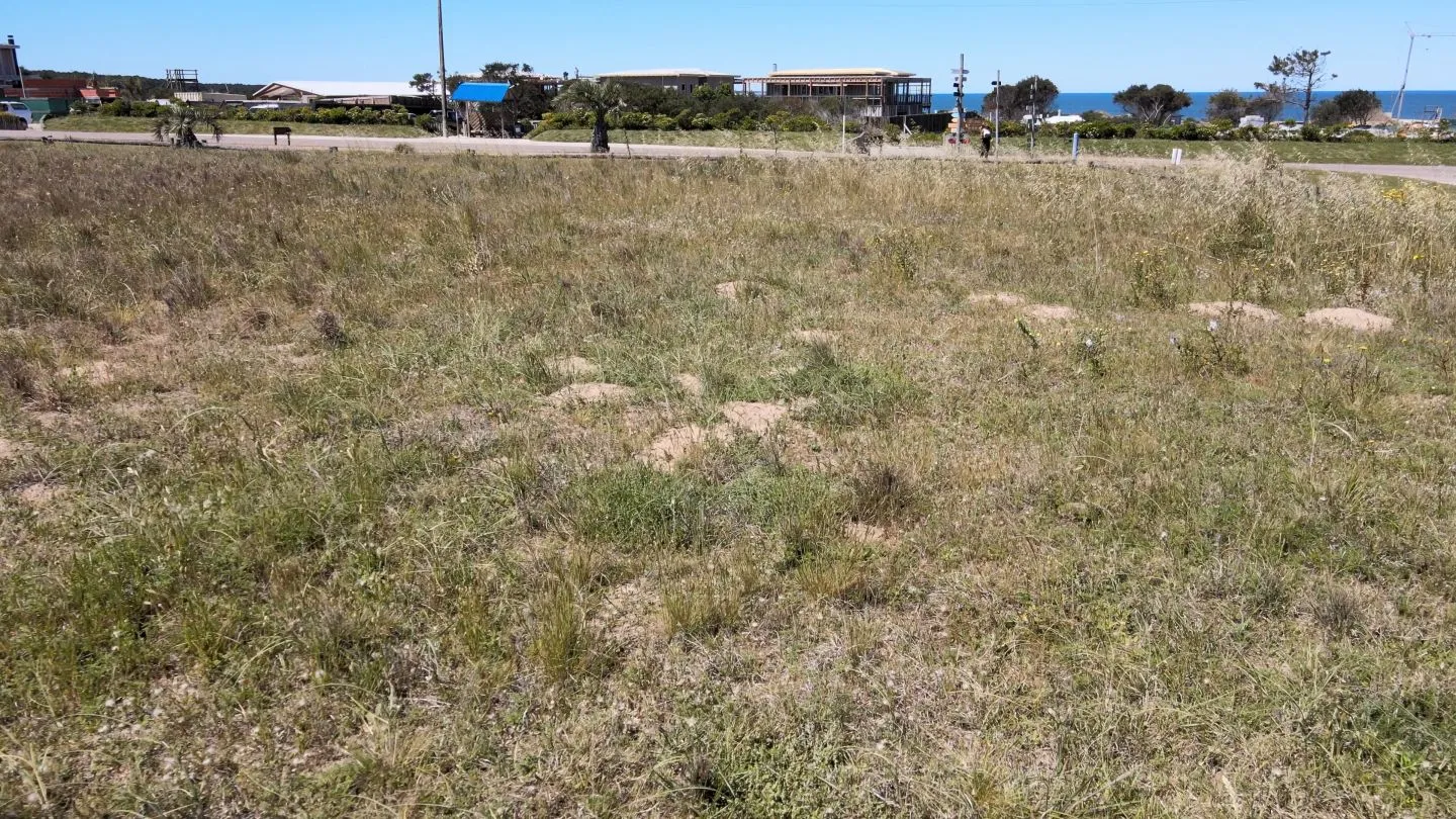 Lote único alto con vista 360 en Jose ignacio — foto 9