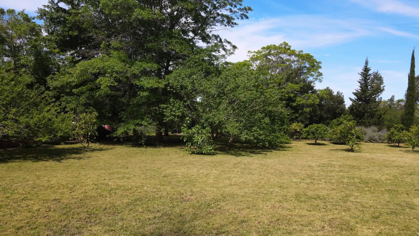 Venta chacra 2 dormitorios- Camino Lussich — foto 29