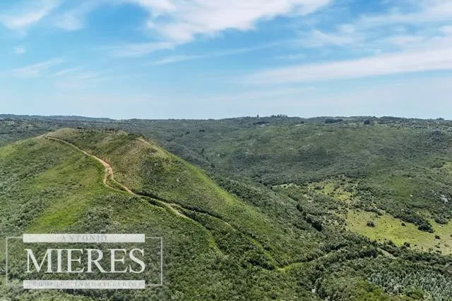 Campo de 151ha  en las sierras de Maldonado — foto 1