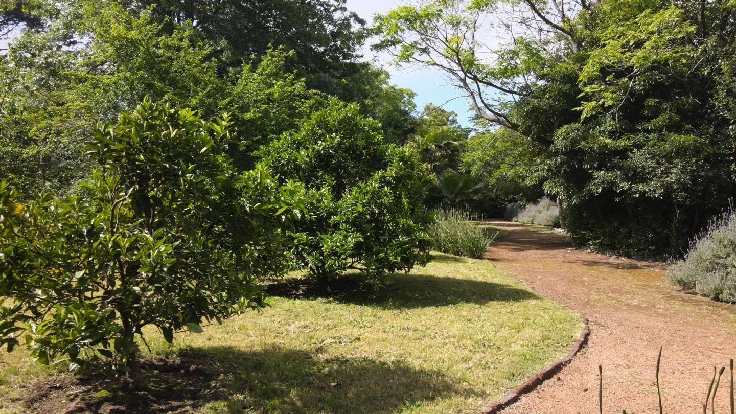 Venta chacra 2 dormitorios- Camino Lussich — foto 30