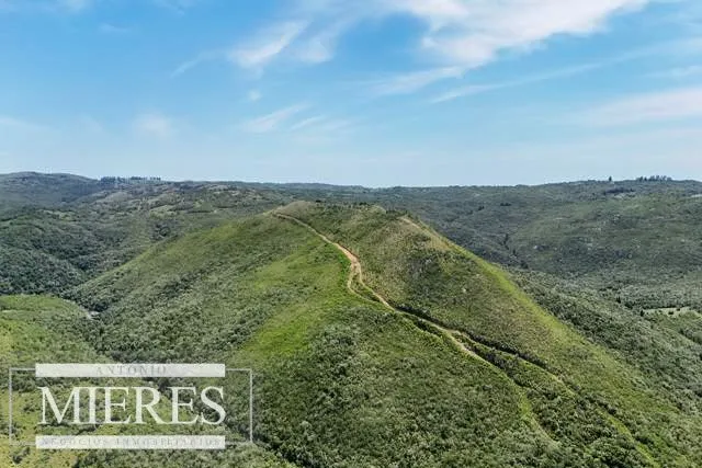 Campo de 151ha  en las sierras de Maldonado — foto 2