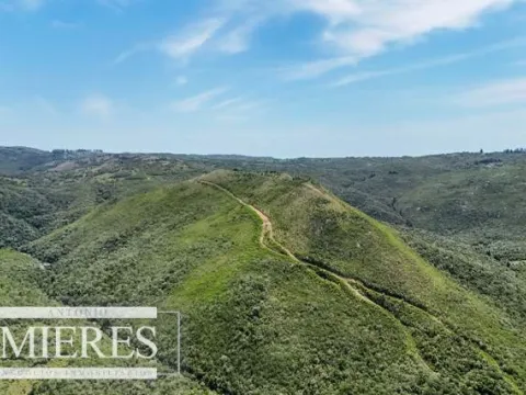 Campo de 151ha  en las sierras de Maldonado — foto 2