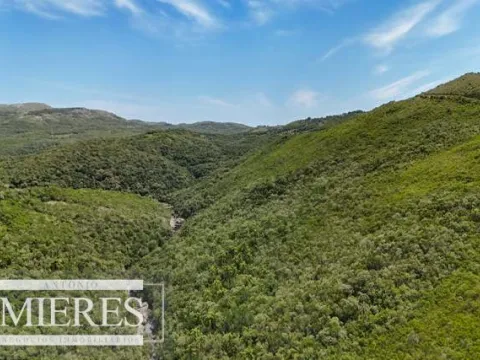 Campo de 151ha  en las sierras de Maldonado — foto 3