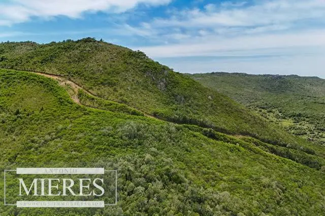Campo de 151ha  en las sierras de Maldonado — foto 4