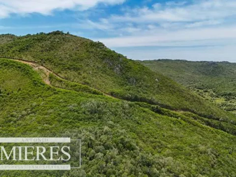 Campo de 151ha  en las sierras de Maldonado — foto 4