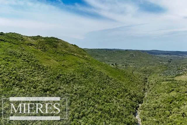 Campo de 151ha  en las sierras de Maldonado — foto 5