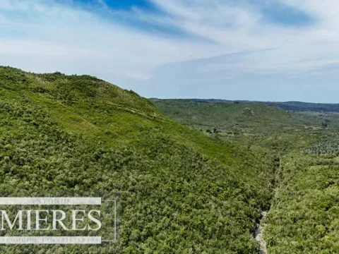 Campo de 151ha  en las sierras de Maldonado — foto 5