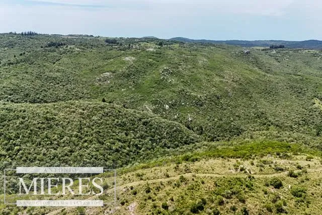 Campo de 151ha  en las sierras de Maldonado — foto 6