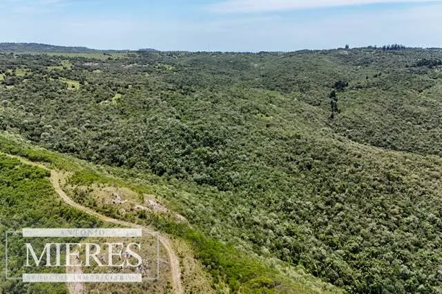 Campo de 151ha  en las sierras de Maldonado — foto 7