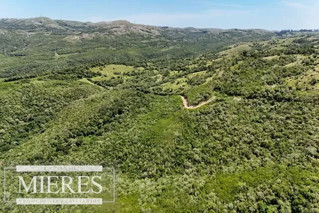 Campo de 151ha  en las sierras de Maldonado — foto 8