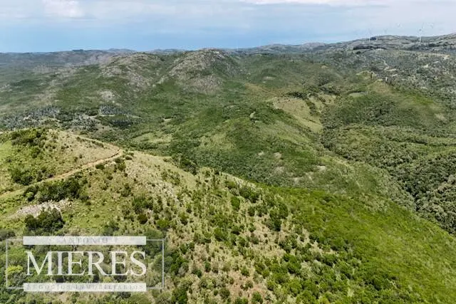 Campo de 151ha  en las sierras de Maldonado — foto 9
