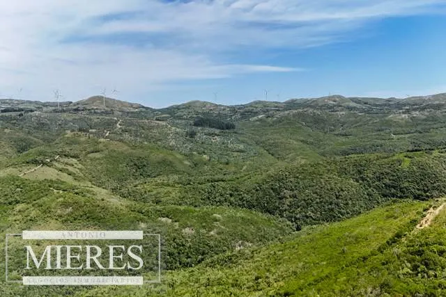 Campo de 151ha  en las sierras de Maldonado — foto 11