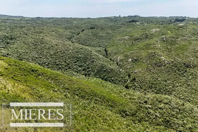 Campo de 151ha  en las sierras de Maldonado — foto 12