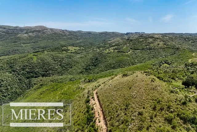 Campo de 151ha  en las sierras de Maldonado — foto 13