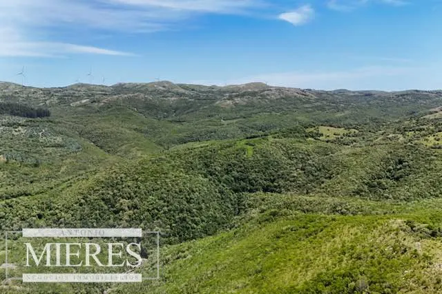 Campo de 151ha  en las sierras de Maldonado — foto 14