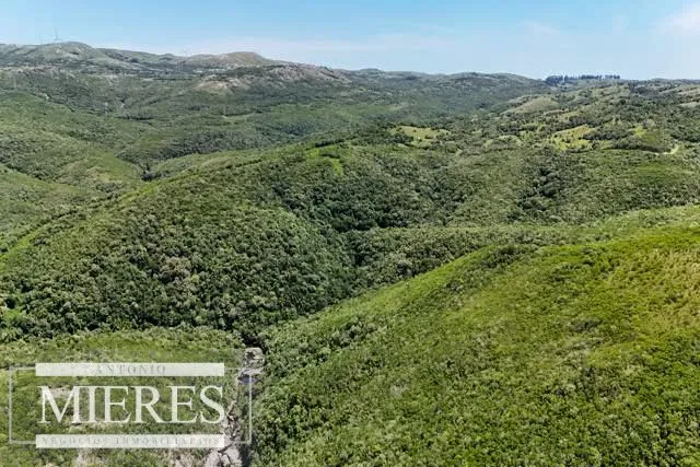 Campo de 151ha  en las sierras de Maldonado — foto 15