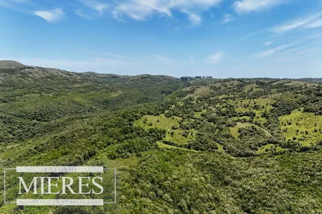 Campo de 151ha  en las sierras de Maldonado — foto 16
