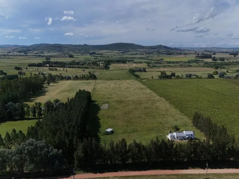 Venta de Chacra con casa 5 Ha en Zona Pueblo Edén ref 7451 — foto 6