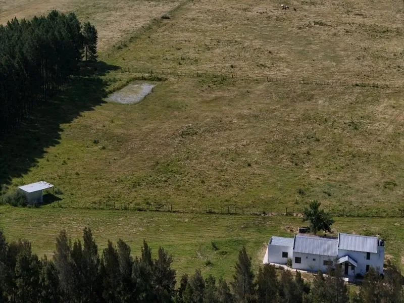 Venta de Chacra con casa 5 Ha en Zona Pueblo Edén ref 7451 — foto 7