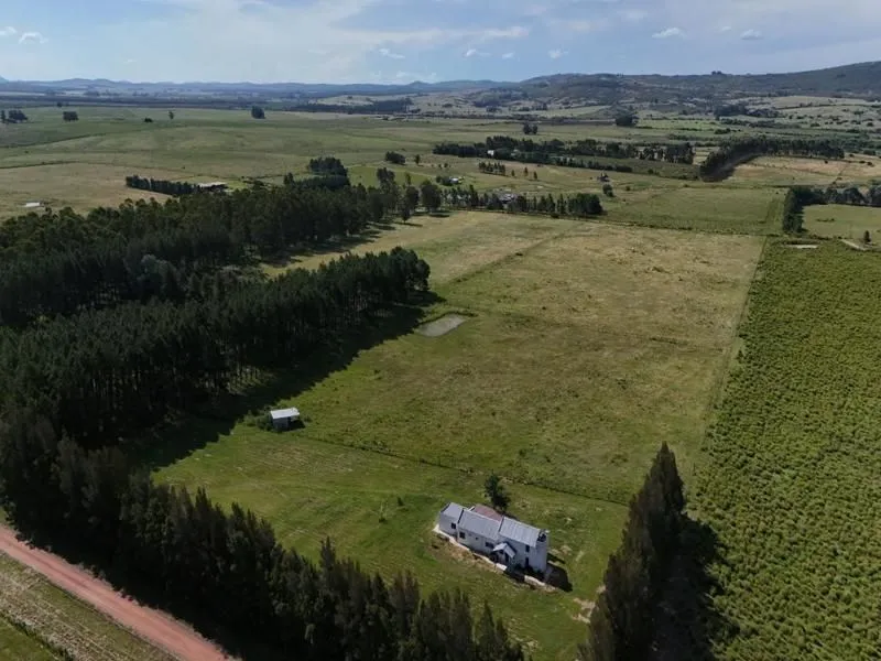 Venta de Chacra con casa 5 Ha en Zona Pueblo Edén ref 7451 — foto 8