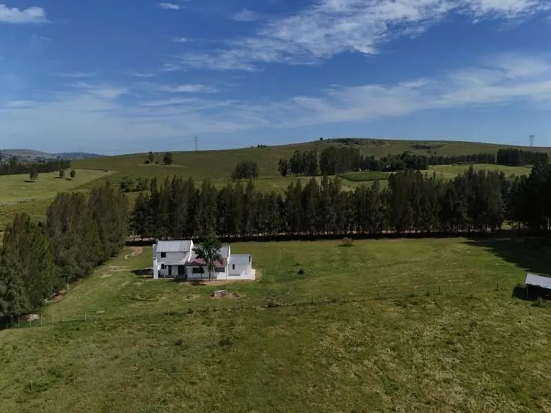 Venta de Chacra con casa 5 Ha en Zona Pueblo Edén ref 7451 — foto 13