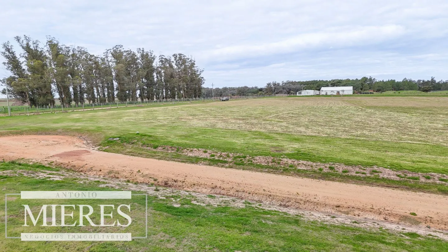 Exclusivo Barrio Cerrado en José Ignacio — foto 5