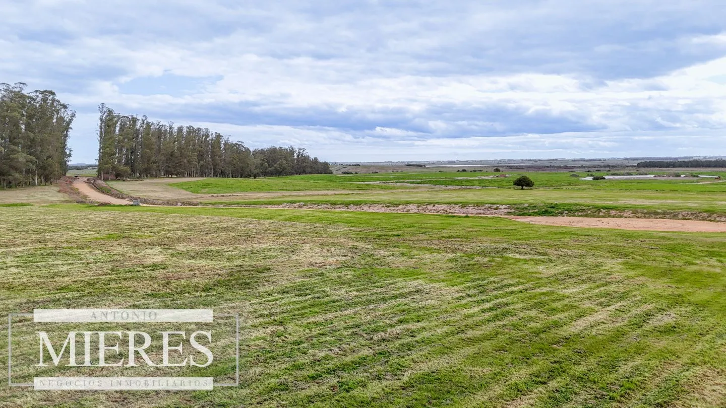 Exclusivo Barrio Cerrado en José Ignacio — foto 8
