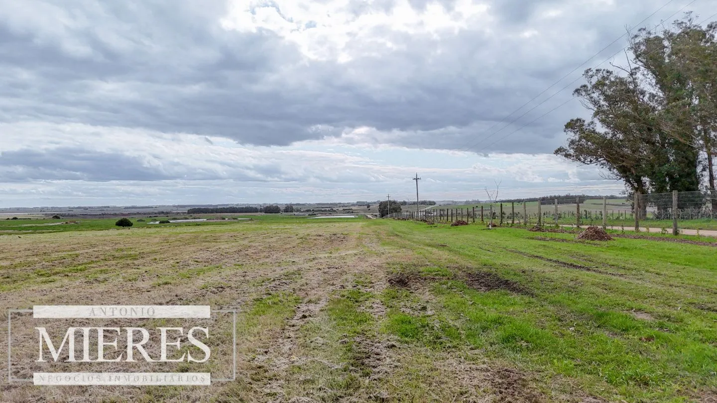 Exclusivo Barrio Cerrado en José Ignacio — foto 21
