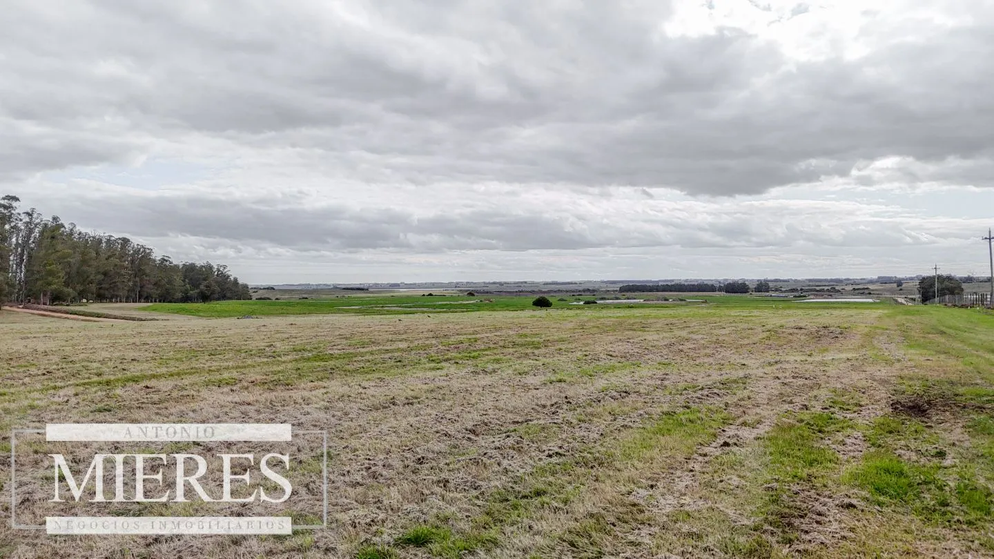 Exclusivo Barrio Cerrado en José Ignacio — foto 22