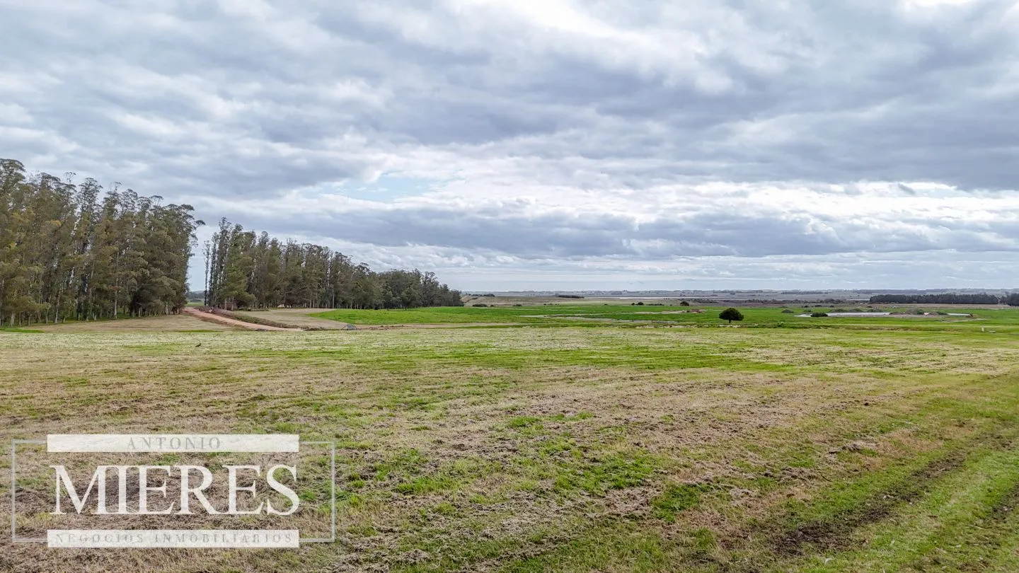 Exclusivo Barrio Cerrado en José Ignacio — foto 23