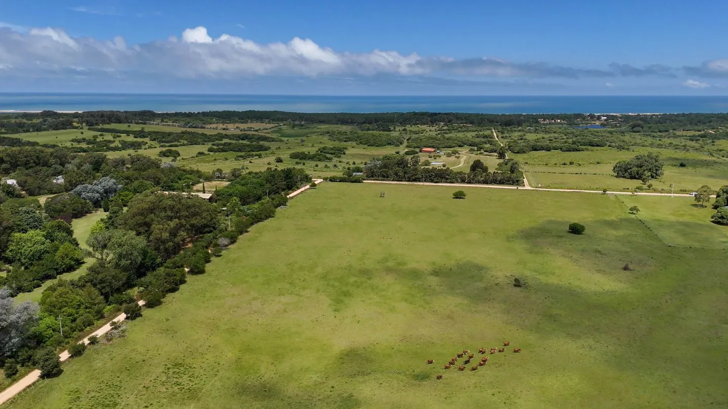 Venta Chacra 5has en Las Portuguesas a 5' de Jose Ignacio — foto 2