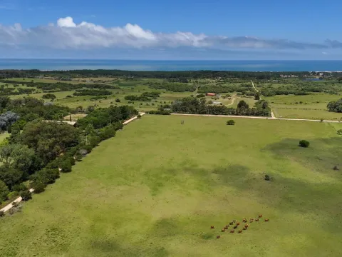 Venta Chacra 5has en Las Portuguesas a 5' de Jose Ignacio — foto 2