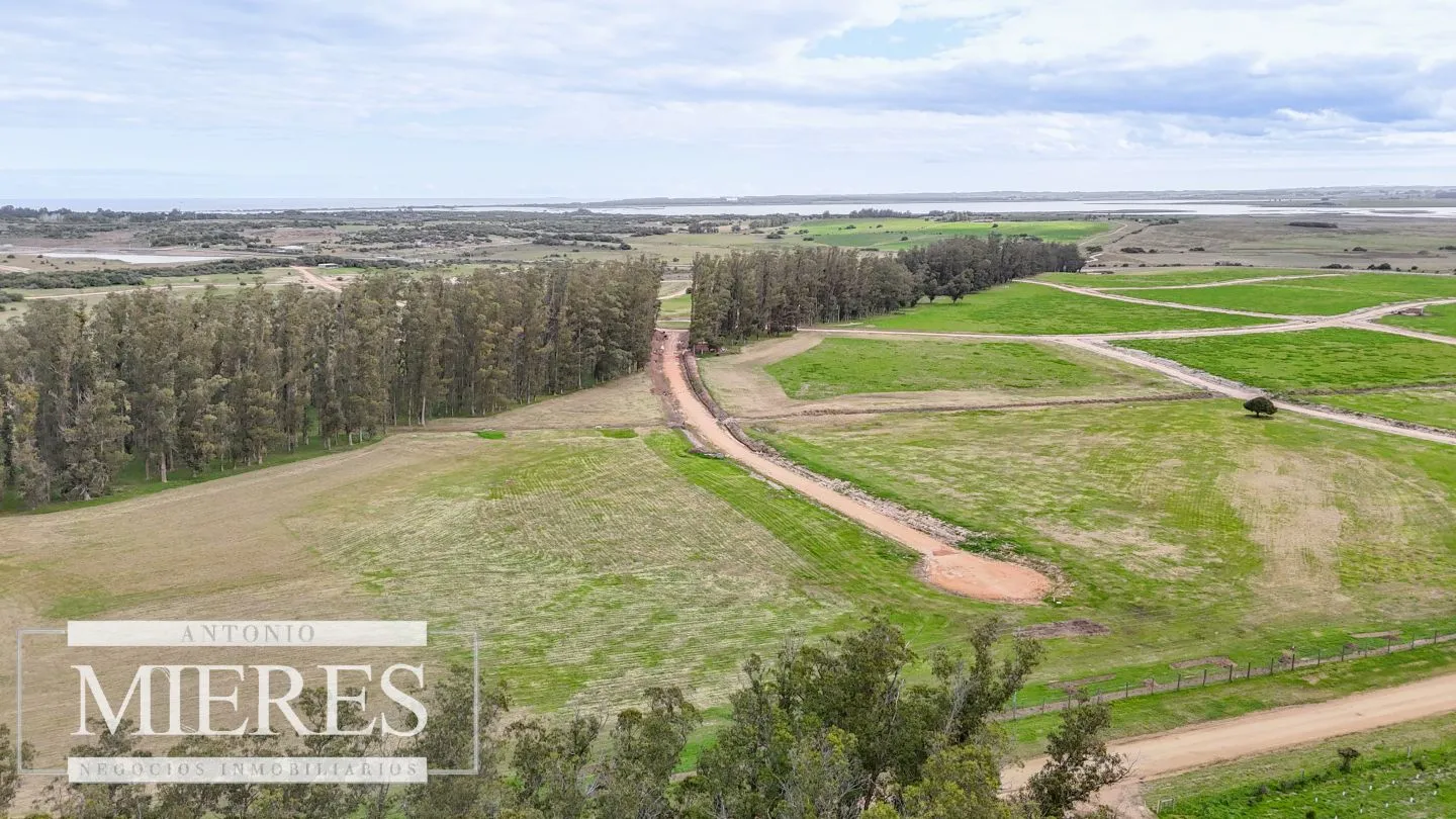 Exclusivo Barrio Cerrado en José Ignacio — foto 29