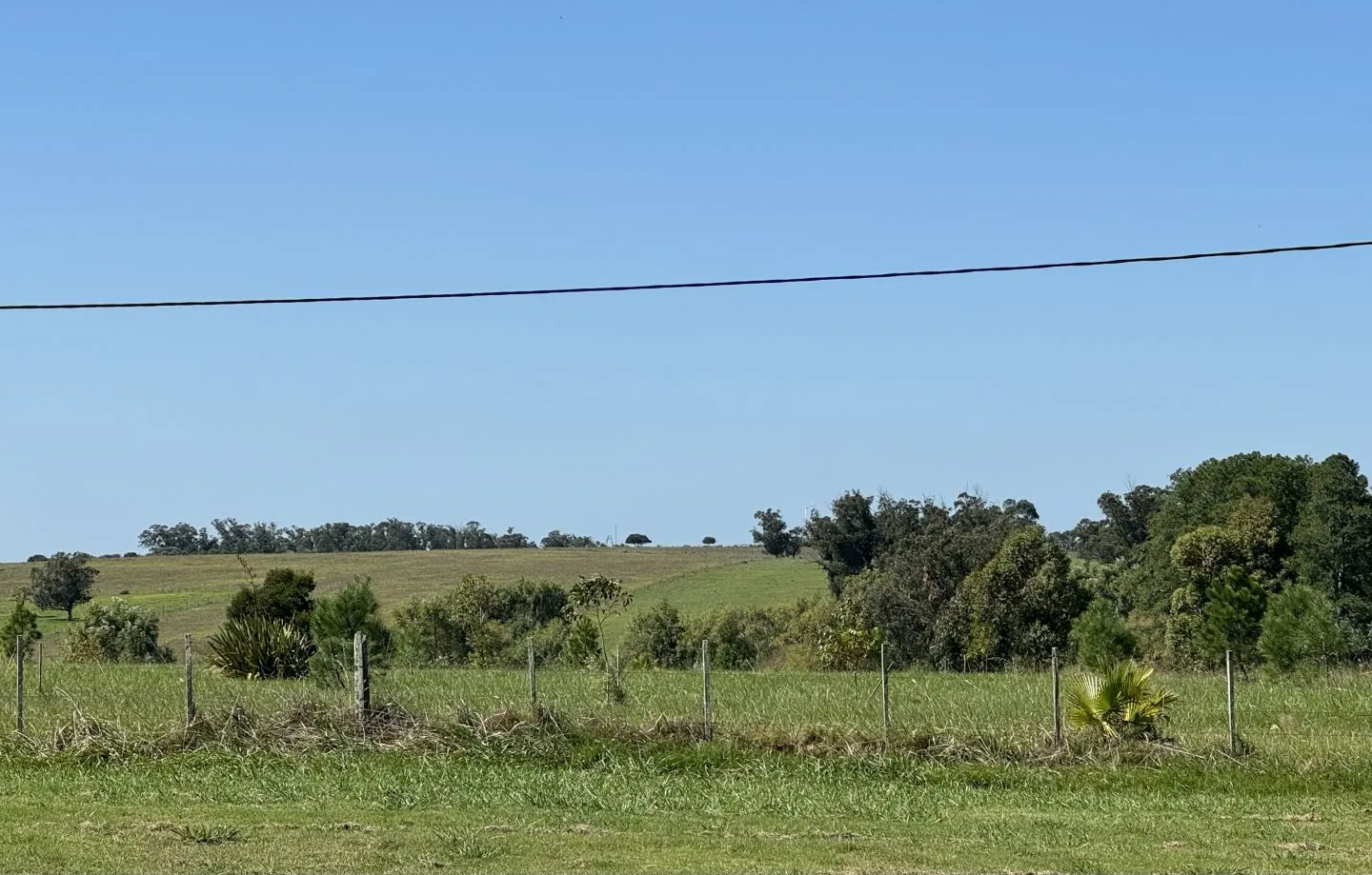 VENTA DE 3 CHACRAS 5 HAS - 1 CON FRENTE A R-104 — foto 14