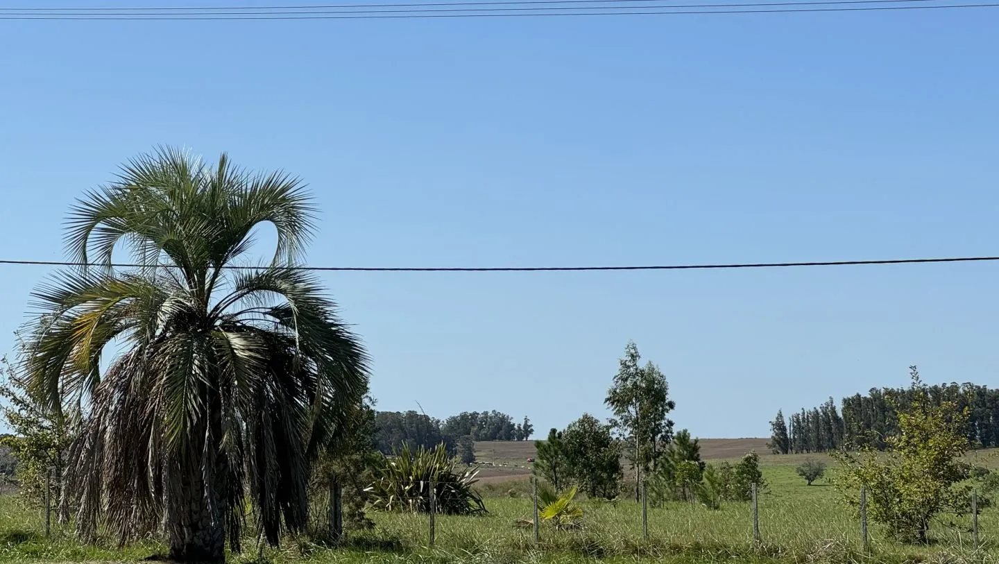 VENTA DE 3 CHACRAS 5 HAS - 1 CON FRENTE A R-104 — foto 15