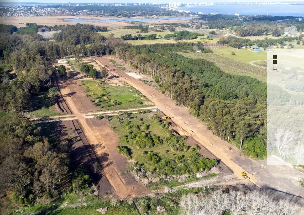 Lotes en venta - La Jacinta Punta Ballena — foto 13