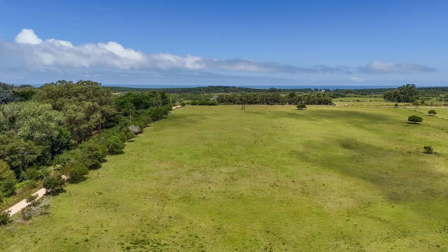 Venta Chacra 5has en Las Portuguesas a 5' de Jose Ignacio — foto 6