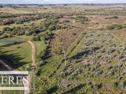 Chacra de 8ha  con arroyo Maldonado